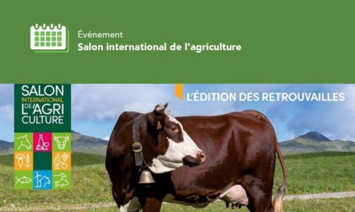 Salon international de l’agriculture, l’édition des retrouvailles