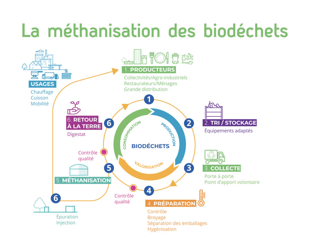 Schéma La méthanisation des biodéchets, un exemple d'économie circulaire