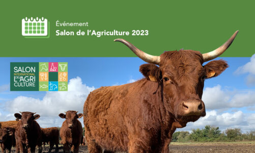 Salon de l’Agriculture 2023 à Paris 