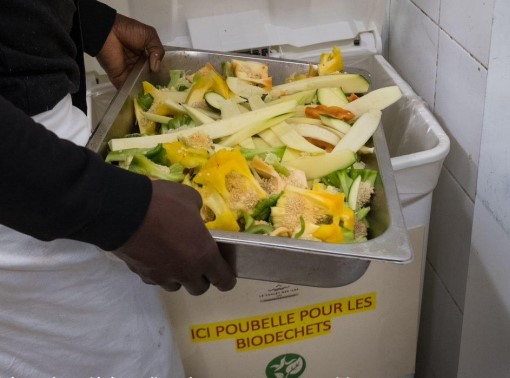 Poubelle dédiée aux biodéchets dans la restauration